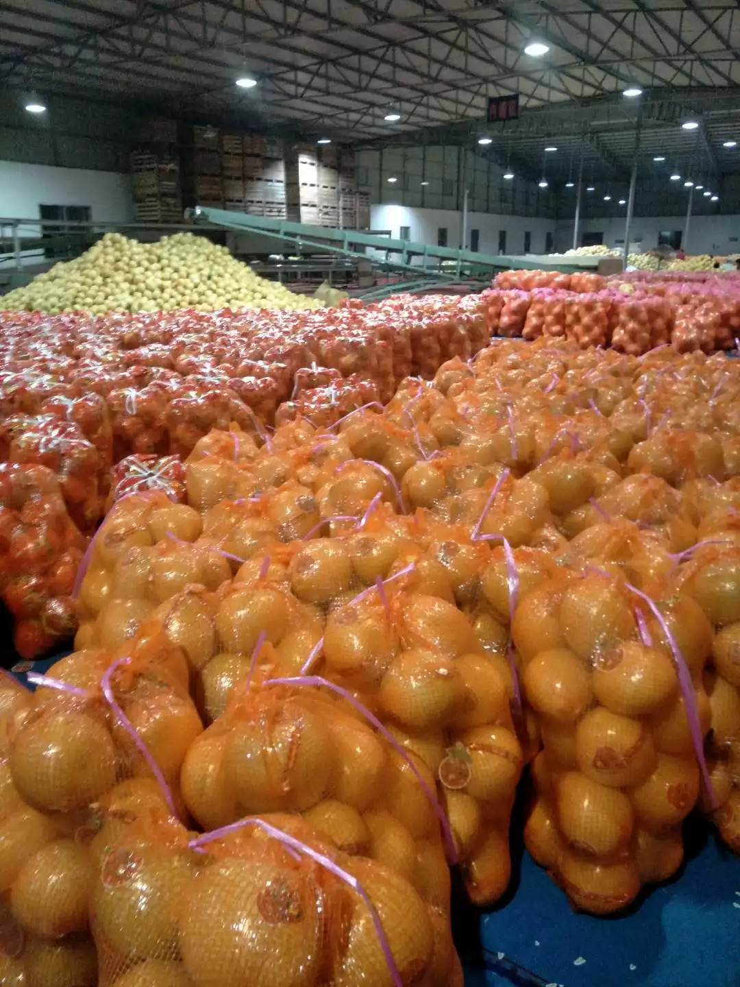 这些有地标性的 各种柚子 想吃哪个味道 来万德隆 超市区就购啦!