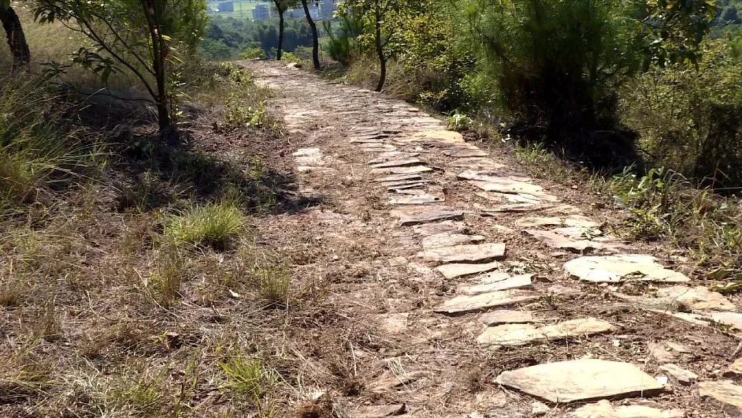 饱揽沿途的大美风光,关爷埂古驿道,走进位于连平县绣缎镇尚岭村的让