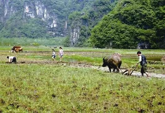 东乡多少人口_东乡区马圩镇人口(3)