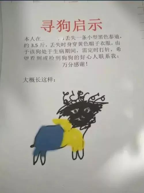 可乐相信广大人民群众捡到"花猪"会归还的 毕竟一般人看不住这只傻狗