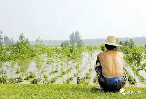 张才富:我的网络写作之旅