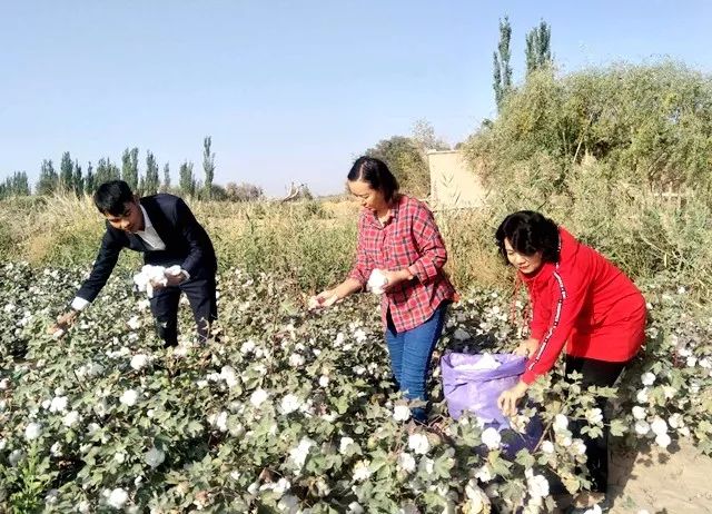 巴仁镇人口_新疆喀什地区加强基层基础建设工作推进会在伽师县召开