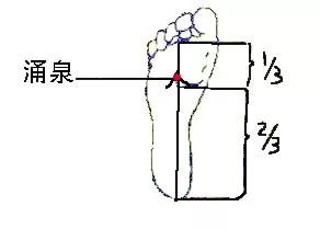 趾什么前成语_趾疣是什么(5)