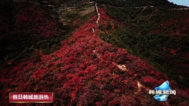 香山的底座怎么搭视频_香山红叶简笔画怎么画