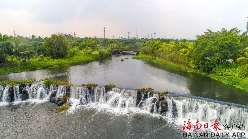 附近的响水河,位于海口玉龙泉湿地公园近日,海南日报记者发现你们见过