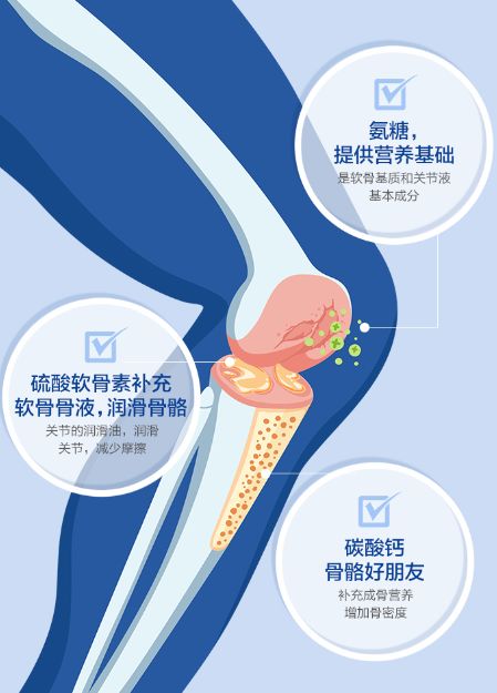 氨糖成分,来促进软骨修复,减缓骨骼摩擦,保护骨骼健康灵活