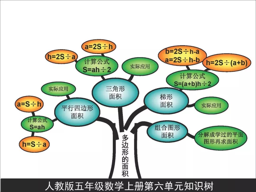 五年级思维导图