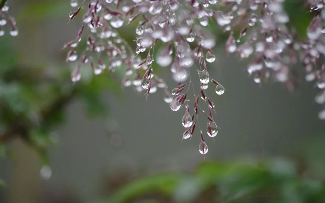 今日寒露_骨气_动物植物_世界趣闻网,世界之最大全