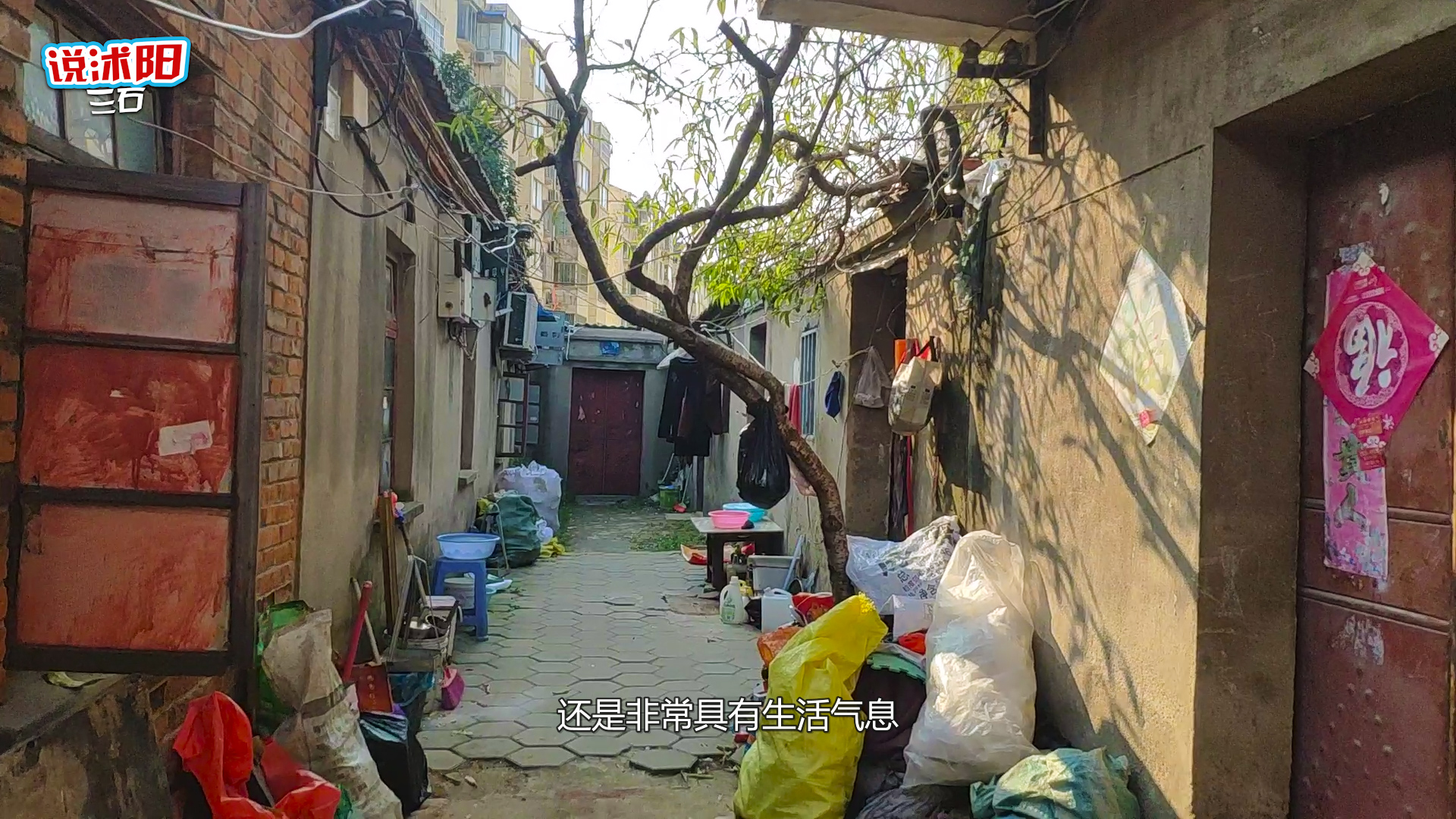 沭阳在住人口_沭阳嵇玉东在监狱图片