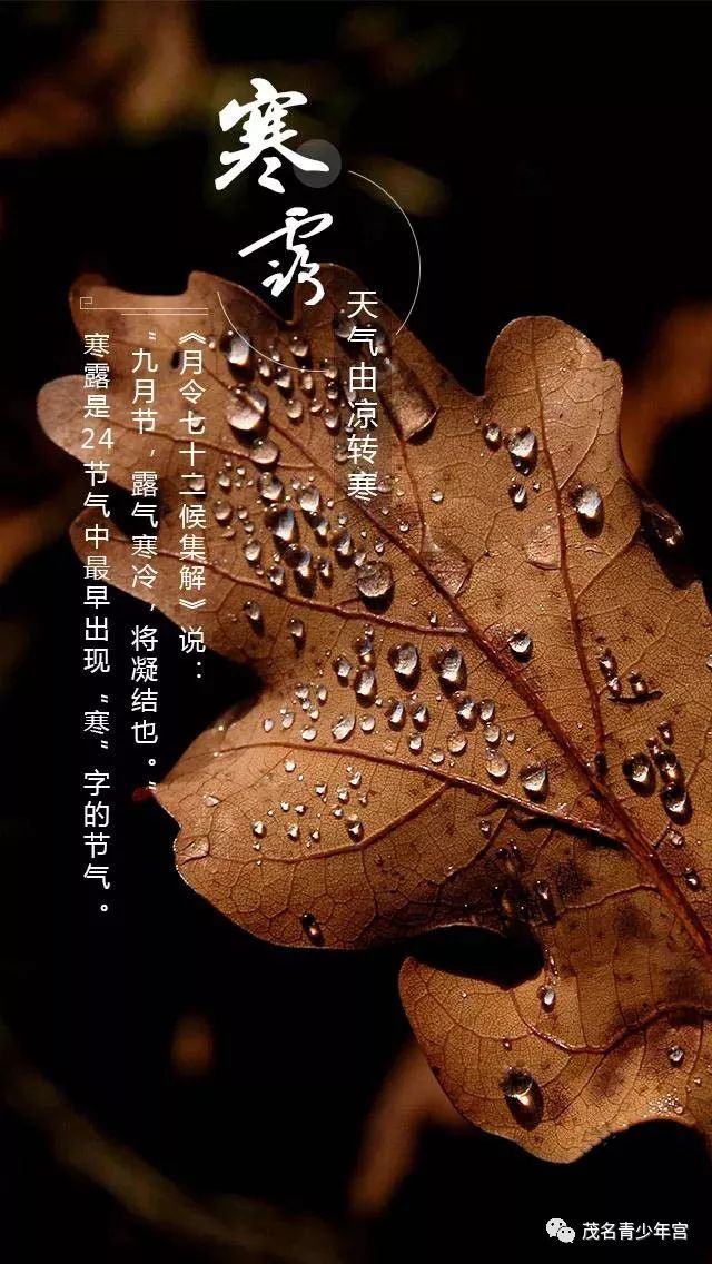 今日寒露 | 第一个带"寒"字的节气,深秋的脚步近了