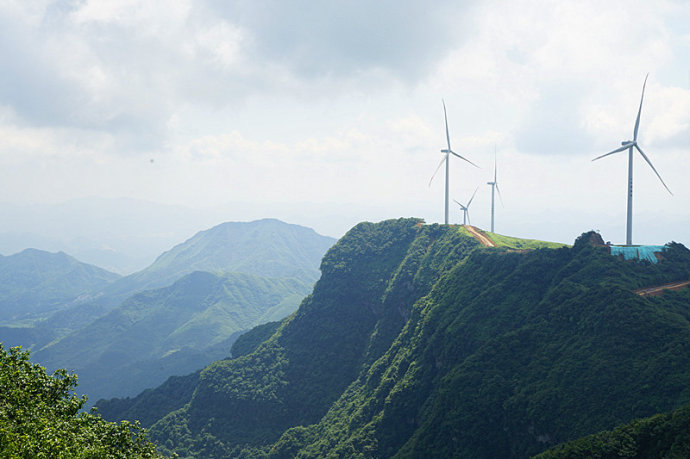 云雾山:沅江和都柳江的发源地,贵州茶叶名山_贵定