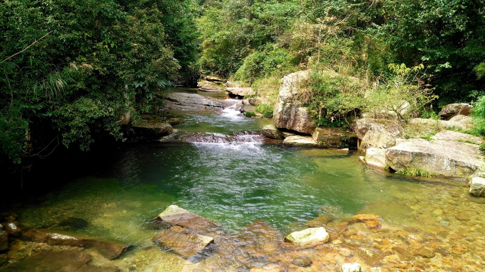 云雾山:沅江和都柳江的发源地,贵州茶叶名山_贵定