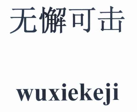 清扬遭遇商标战还好最终无懈可击