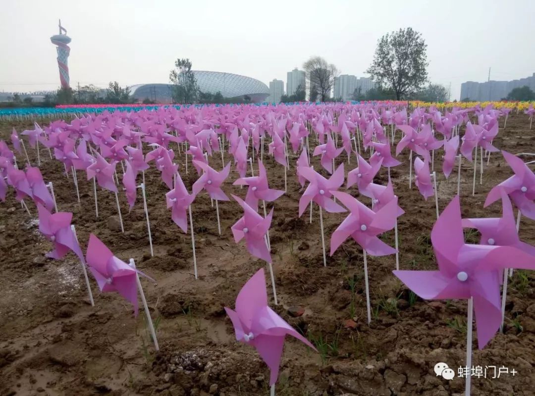 蚌埠网红地标组图欣赏