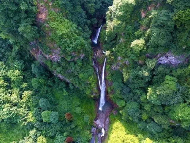 四川白水河国家级自然保护区位于成都彭州市,总面积30150公顷.