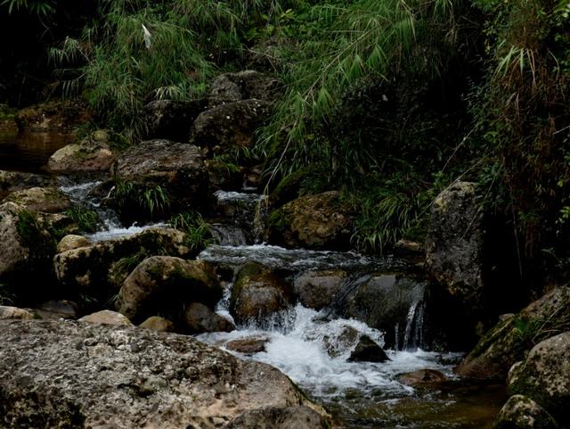 天然氧吧 千佛山村_花水湾