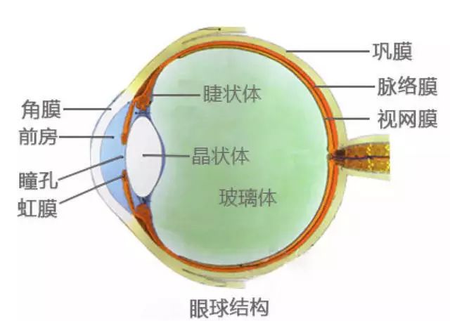 我高度近视而已咋献个血都被拒了过日子