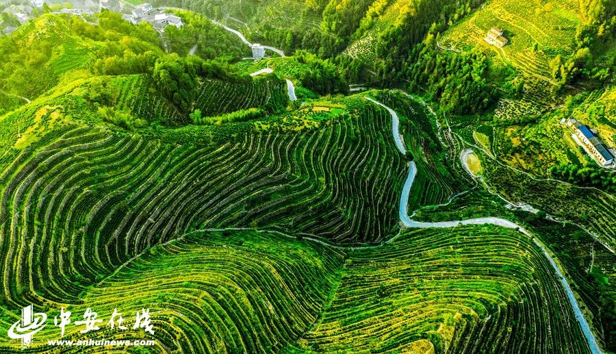 歙县蜈蚣岭:扶贫公路进山村 千亩梯田入画卷