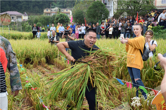 南川首届农民丰收节农事活动丰富多彩.记者 李成 摄