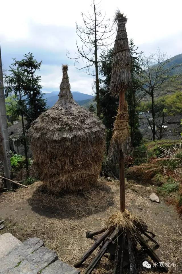 田头的稻草堆兴国农村男孩女孩的童年记忆