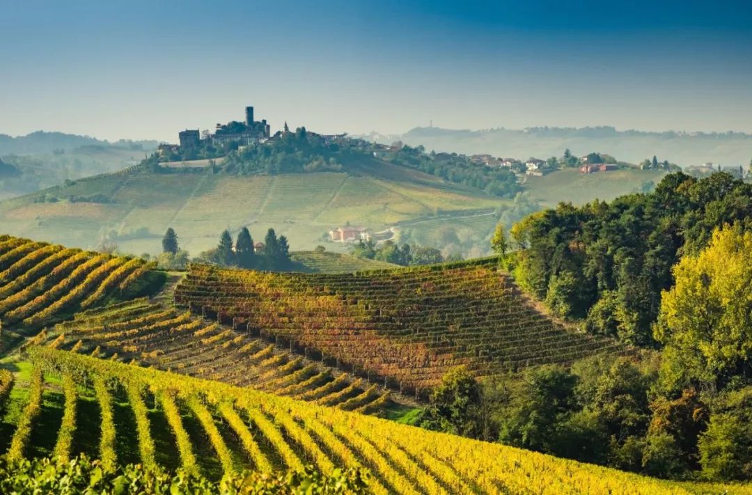 想品尝最顶级意大利葡萄酒吗? 意大利各城市葡萄酒节来啦!