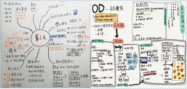 od学习路径图白皮书od是如何炼成的辣个把od概念炒火的责任人用他的