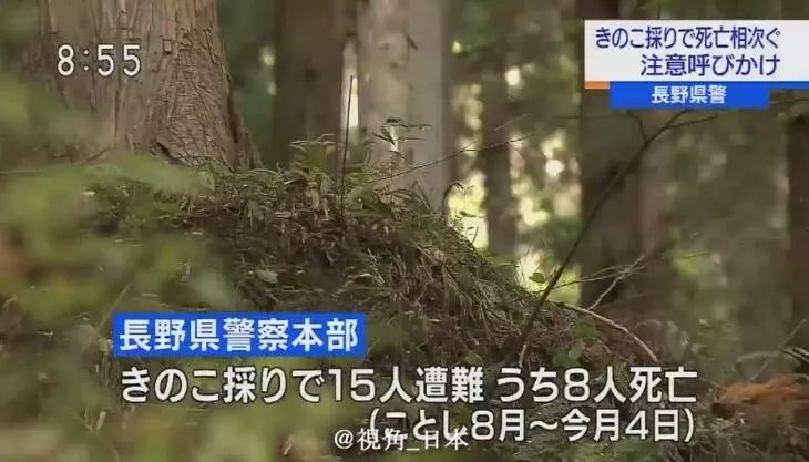 长野县警称今年8月后到本月4日,已经有15人上山采蘑菇时遇难(失足跌落