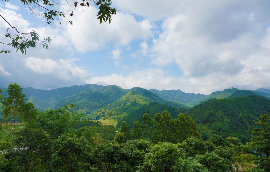 此地位处漠阳江源头,水源充沛水质优良,空气清新.