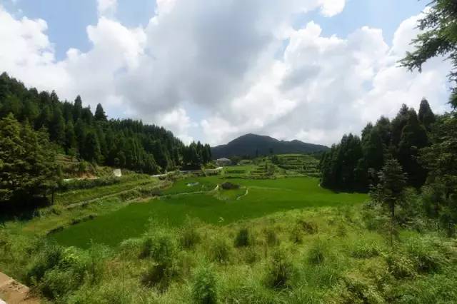 为了进一步宣传黄垟乡峰山村的乡村旅游和生态农业发展成果,助推农旅