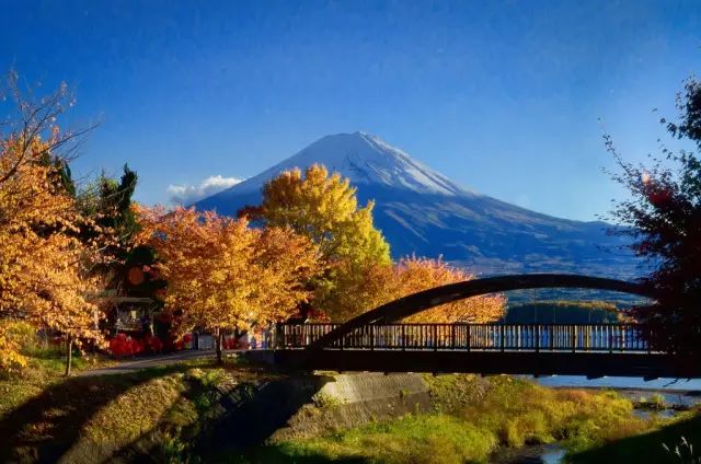 仅4599 枫 玩日本6天 河口湖红叶祭 叹温泉 繁华商圈买买买 雪花新闻