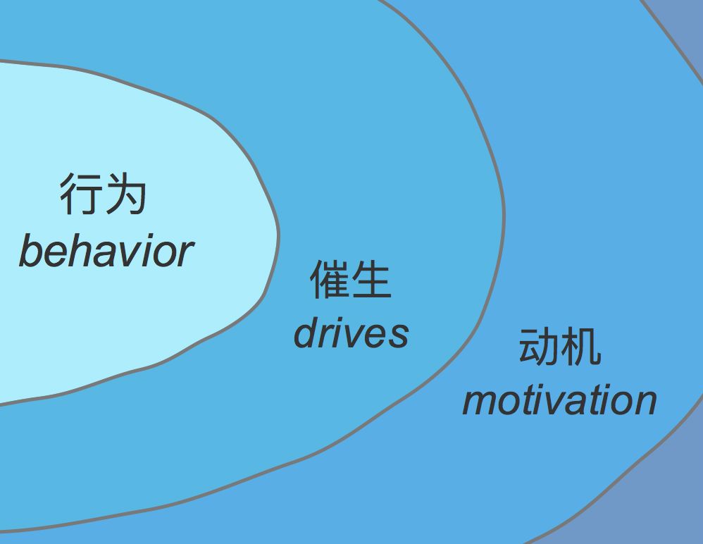 设计思路悖论:用行为催生动机