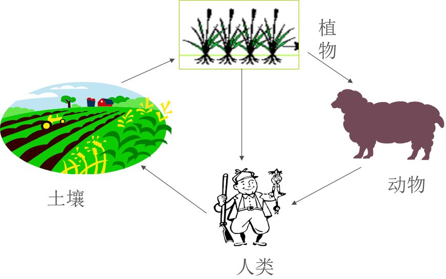 土壤健康(土壤质量:在生态系统界面内,土壤具有动植物生产持续性