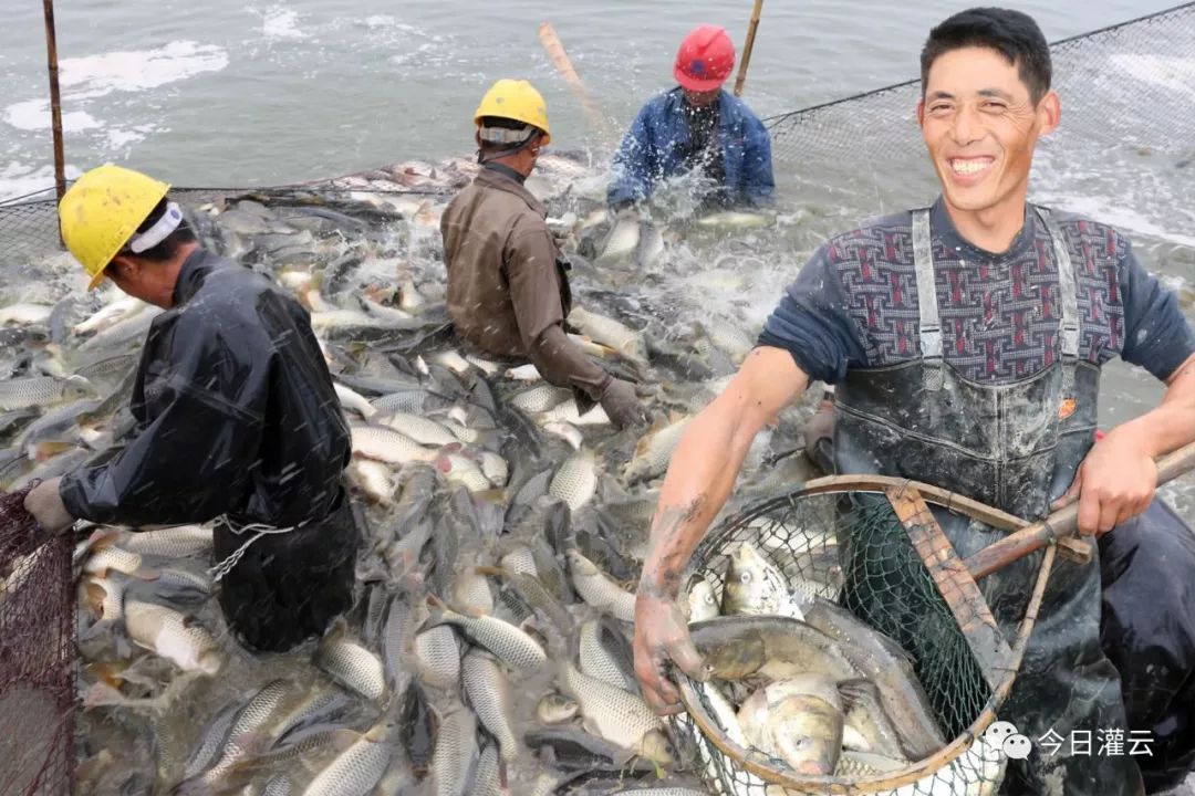 灌云新增高效渔业一万亩_养殖