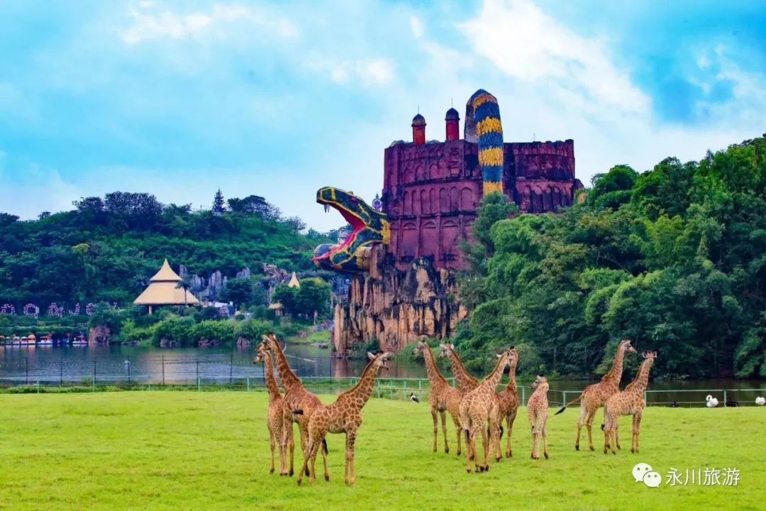 乡村旅游热度不减国庆假期,"品味自然,回归农村,体验慢生活",人们到