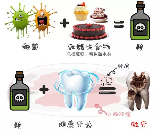 牙医姐姐讲故事一颗六龄齿的自白让你了解蛀牙的前世今生