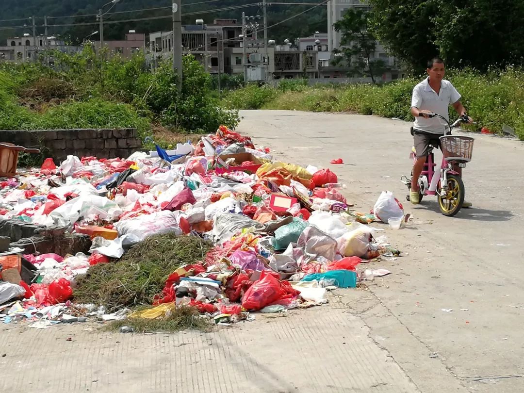 茂名市望夫镇有多少人口_茂名市羊角镇