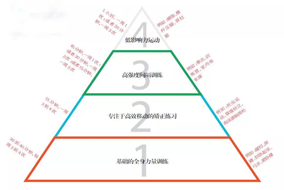 健身金字塔,让你运动更高效_训练