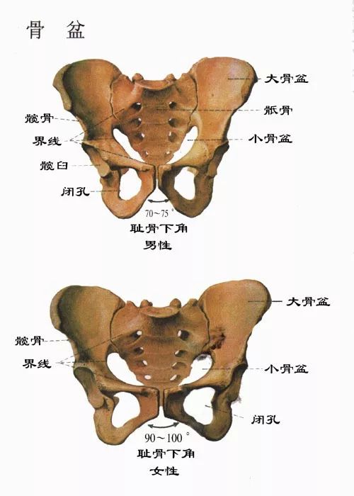 产后不敢大笑这种尴尬我懂你