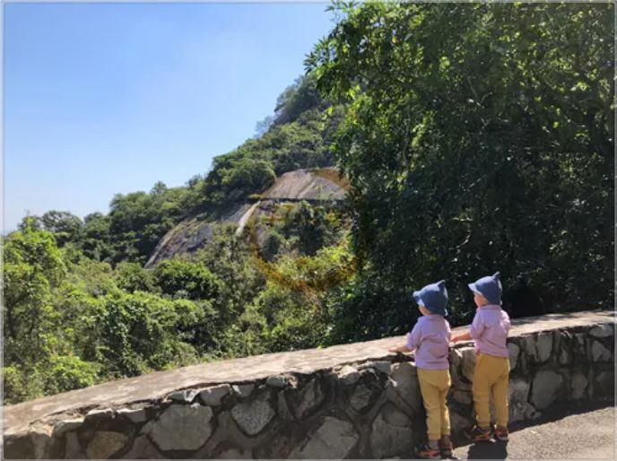 广东惠州罗浮山部队&带着双胞胎去旅行|广东·惠州·罗浮山