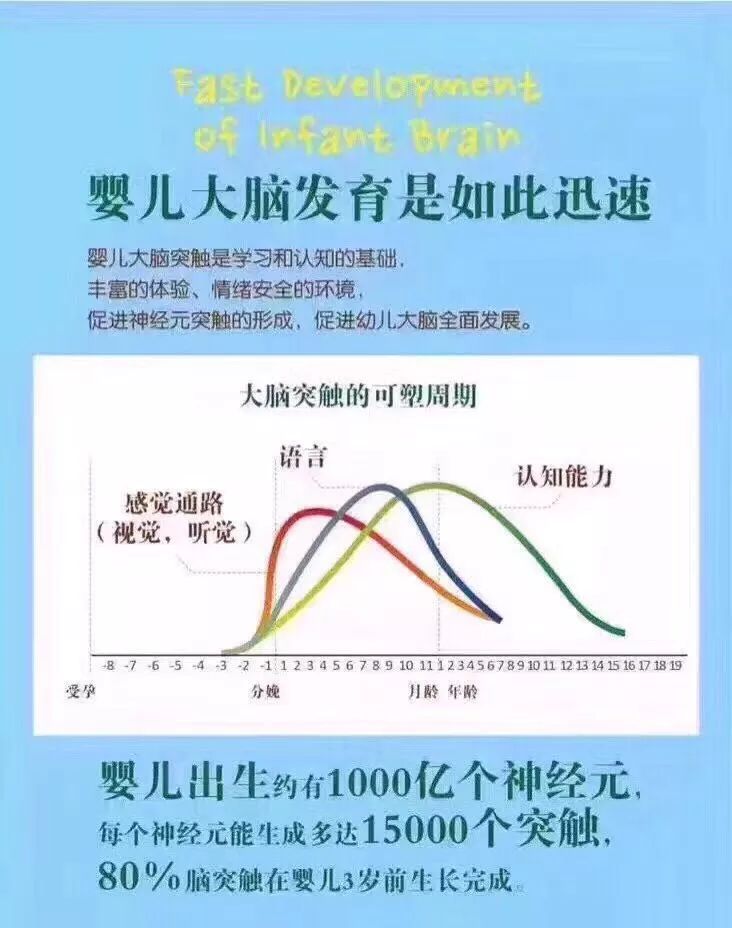 蒙特梭利教育认为 0-6岁是孩子的语言敏感期