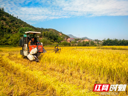 岣嵝乡人口_衡阳岣嵝风景