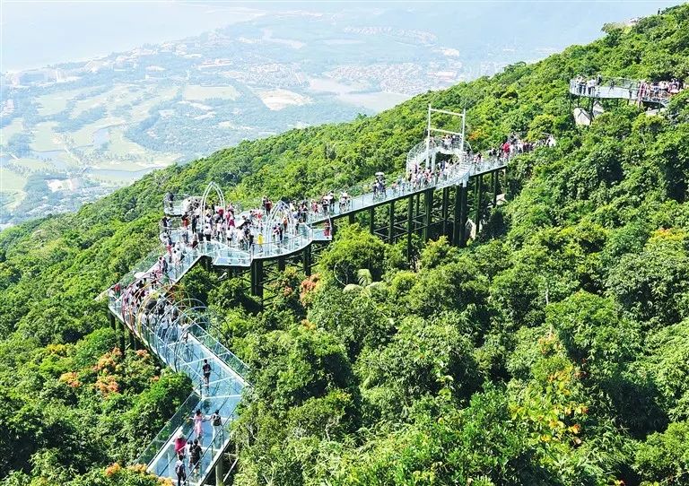 10月4日,三亚亚龙湾热带天堂森林旅游区,游客在玻璃栈道上游览.