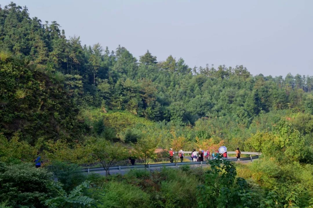 人往高处走,客天下·百丈峰第二届登高文化节邀你来挑战!