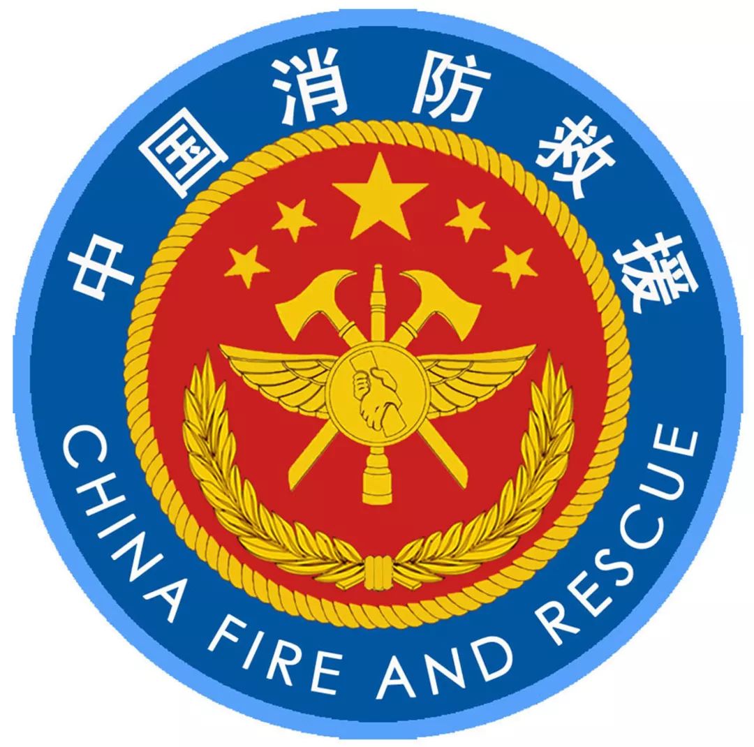 消防部队转制：职业化能带来什么？|中国消防|消防|爆炸_新浪新闻