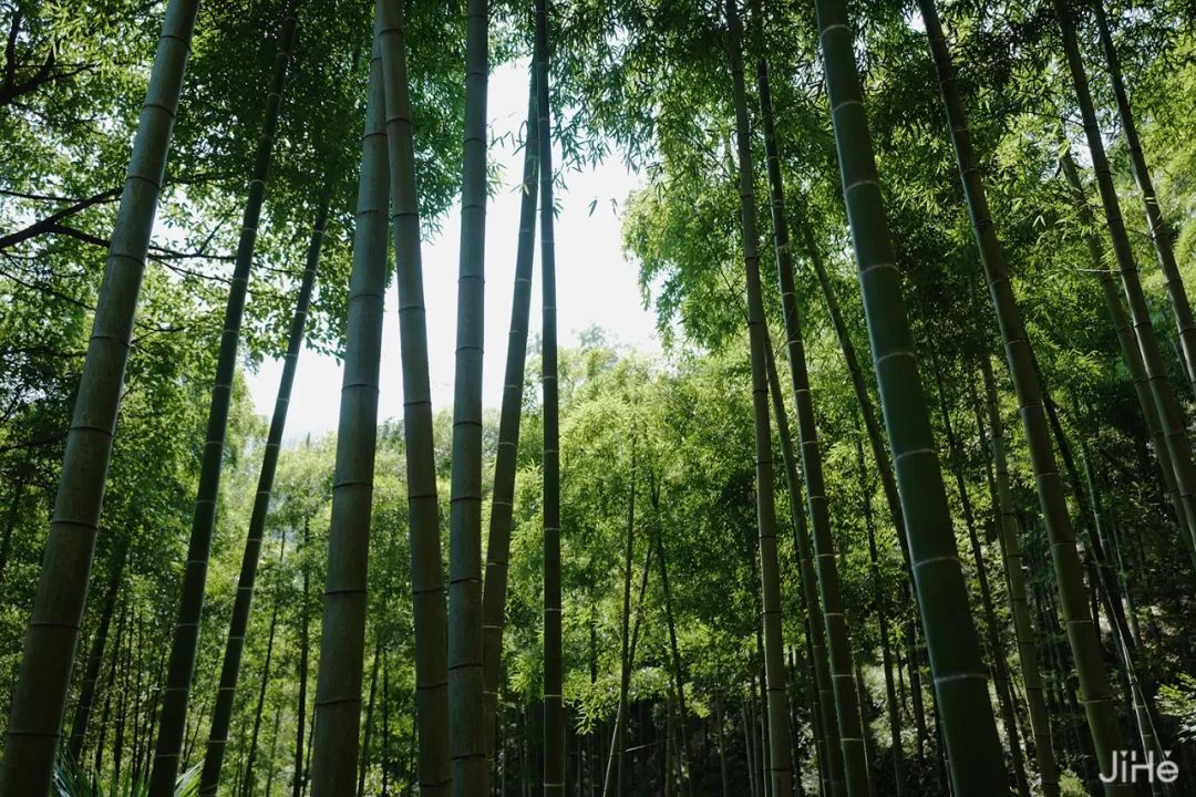 1h抵达杭州西郊的静谧山墅,竹林晚霞,露台晚餐,山景泳池唱一出秋日