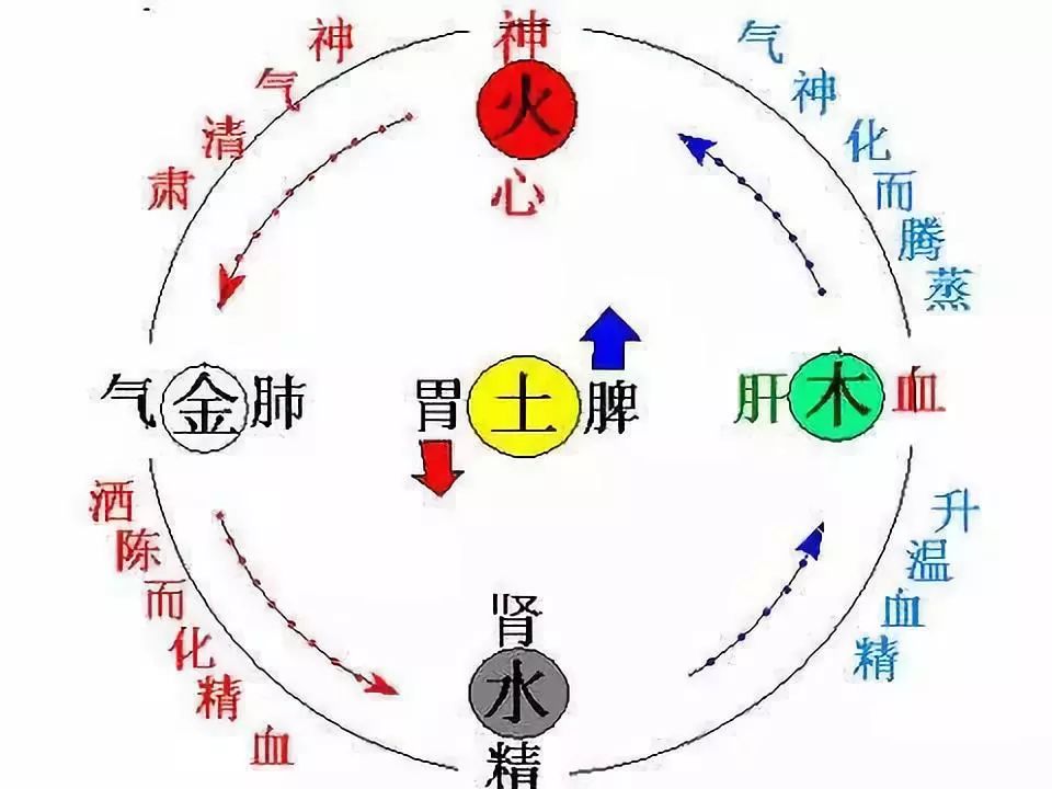 总之,气周流,气归元包含升降,散收,寒热,补泻同用,使手法代替了药性