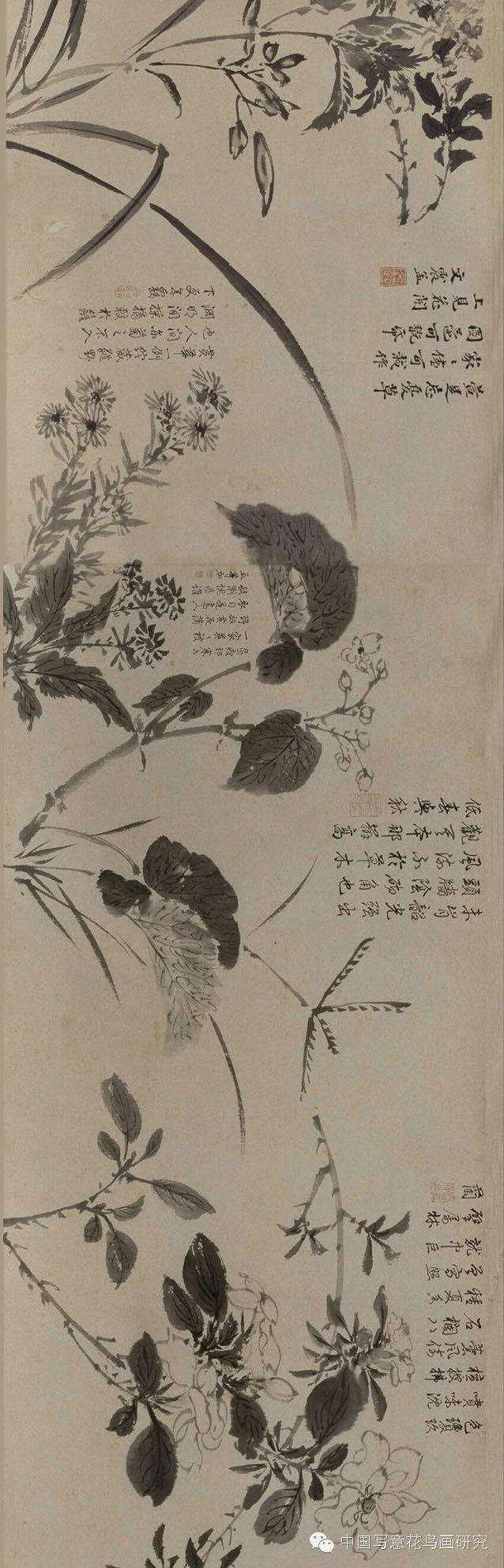 周之冕明代百花图卷