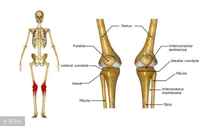 膝关节疼痛常见的22种疾病