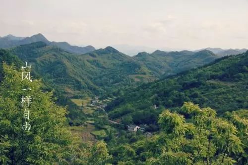 山风一样自由的简谱_像风一样自由简谱