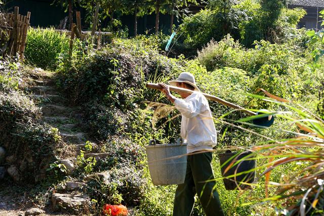 铅山武夷山老人,不愿住城市,喜欢山里砍柴种菜粗茶淡饭的生活